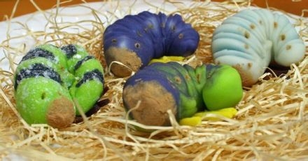 吃货慎点：日本重口味虫子巧克力