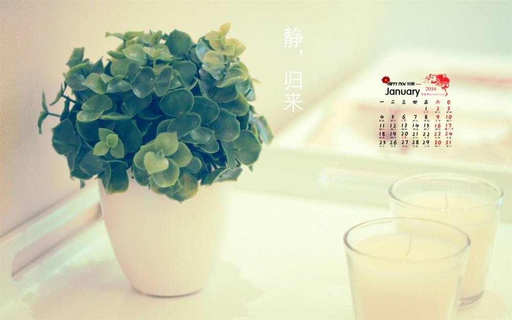 2016年1月日历小清新盆栽桌面壁纸下载7