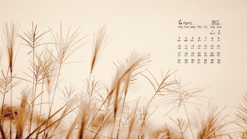 2017年4月唯美的野草高清日历壁纸
