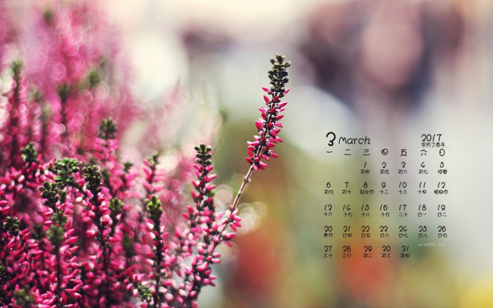 2017年3月唯美花卉高清桌面日历壁纸