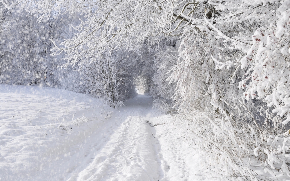 好看的雪景图片壁纸