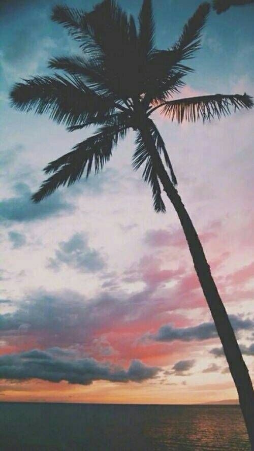 嘿巴扎嘿