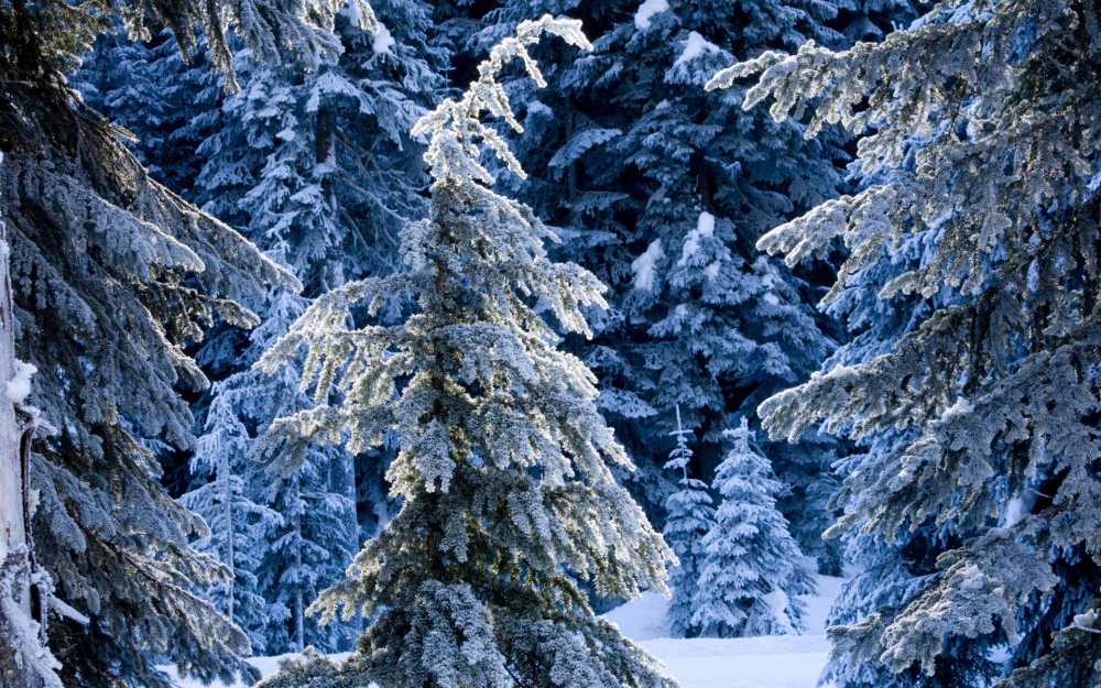 唯美雪景山川