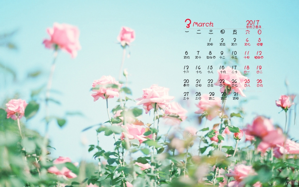 2017年3月唯美花卉高清桌面日历壁纸