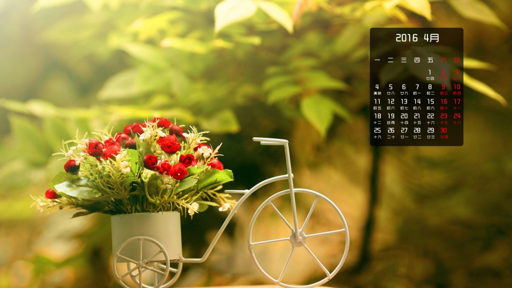2016年4月日历壁纸玫瑰花自行车图片