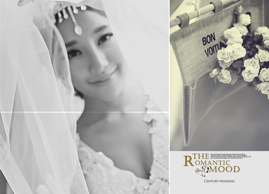 The romantic mood 婚纱照
