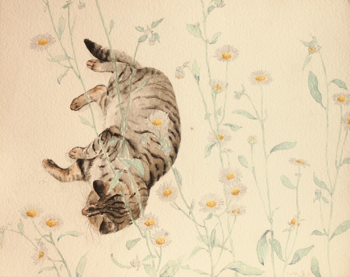 猫先生和植物
