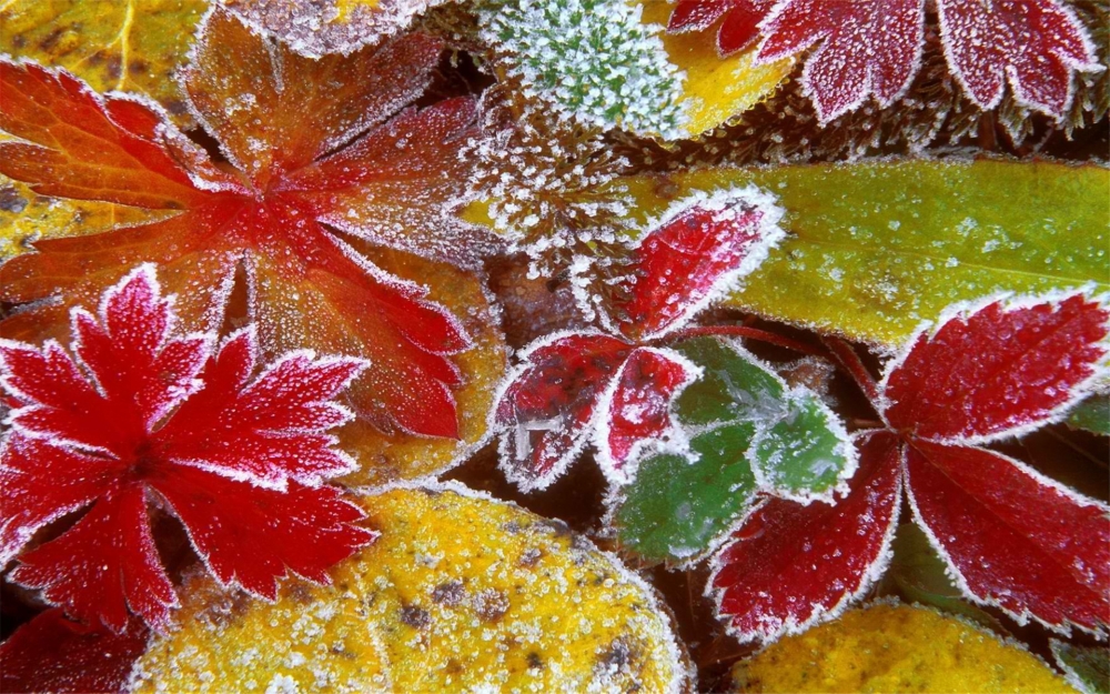 24节气霜降迷人风光