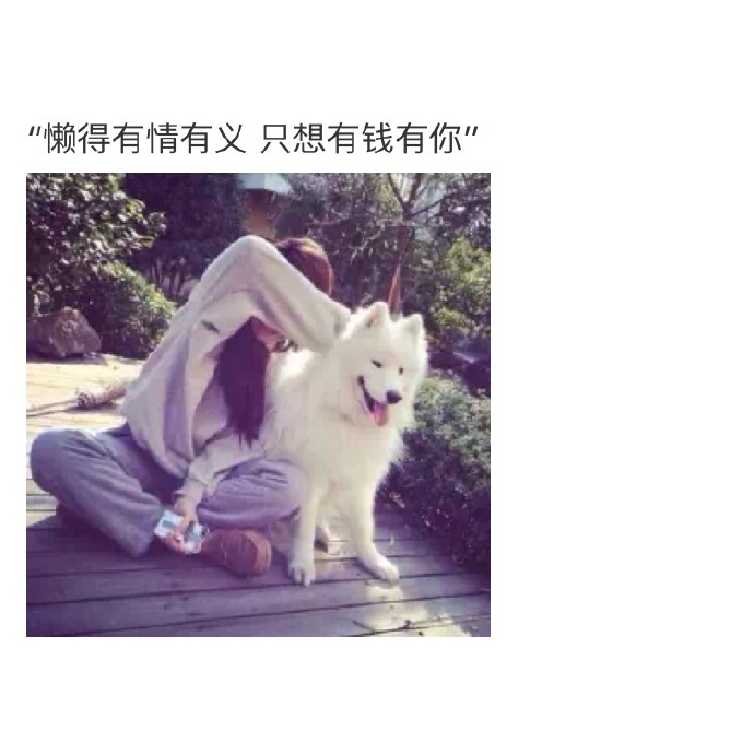 沐子：养一只我吧 保证很乖
