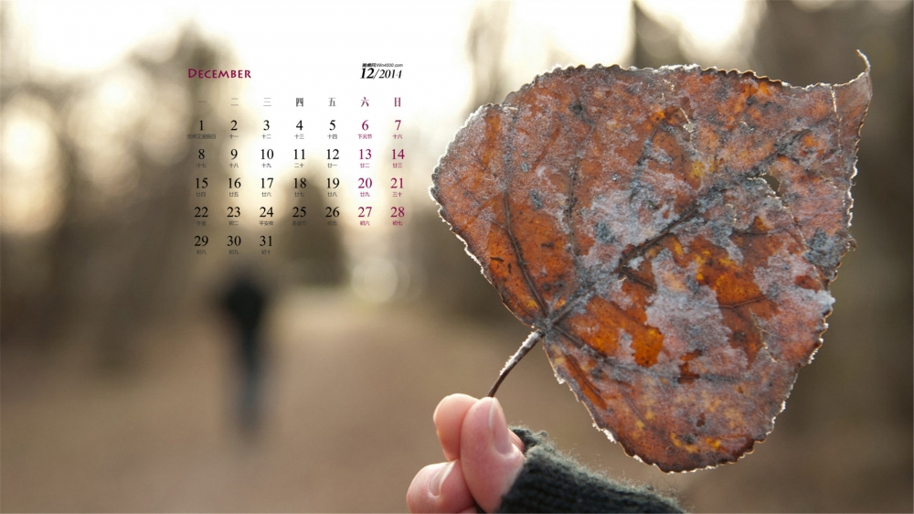 2014年12月日历壁纸下载精选治愈系小清新唯美怀旧风景图片