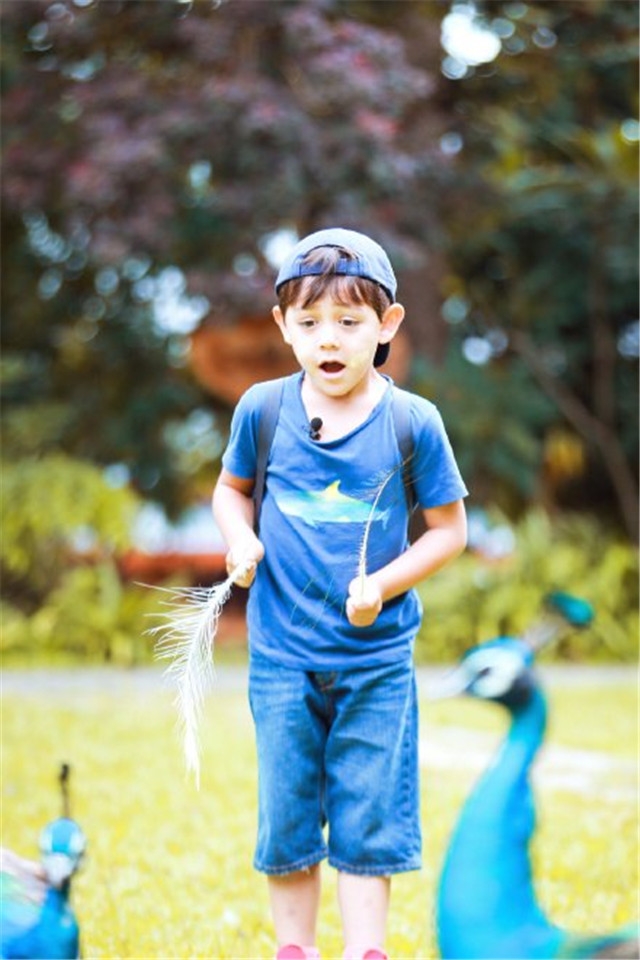 爸爸去哪儿3混血王子刘诺一高清手机桌面壁纸下载