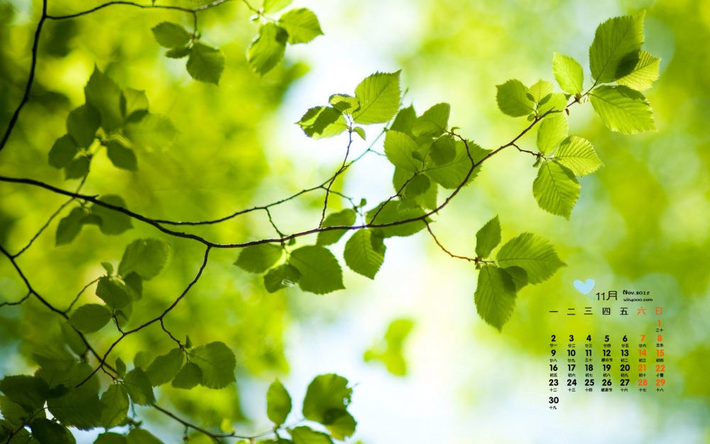 2015年11月日历绿色植物护眼桌面壁纸下载4