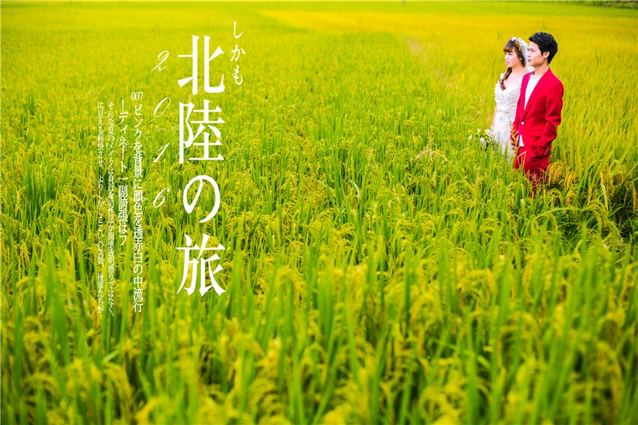 稻花香 婚纱照