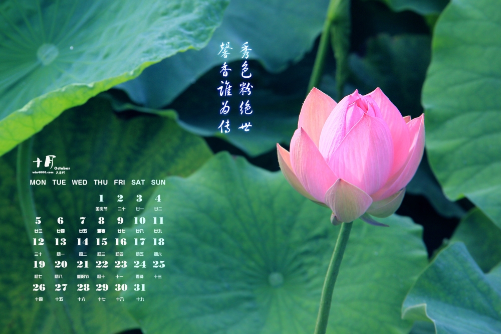 2015年10月日历古典护眼植物荷花电脑桌面壁纸下载6