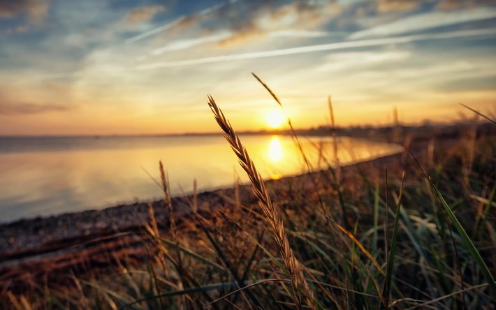 唯美夕阳风光高清壁纸大全