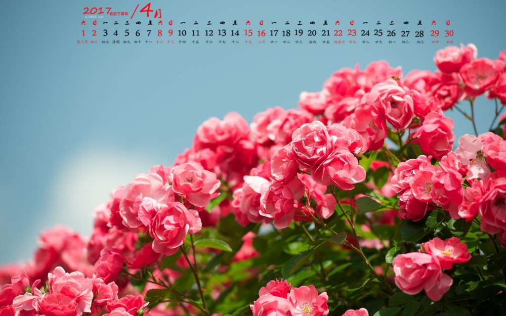 2017年4月唯美红色花卉植物高清图片日历壁纸