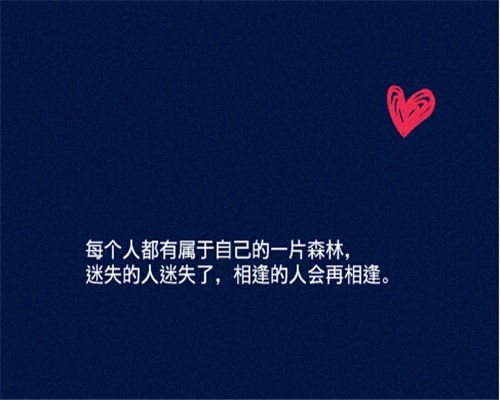 不要等到人生垂暮 才想起俯拾朝花 唯美手写文字图片