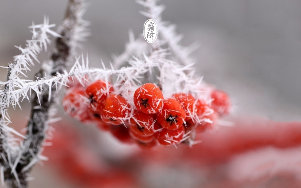 24节气霜降迷人风光