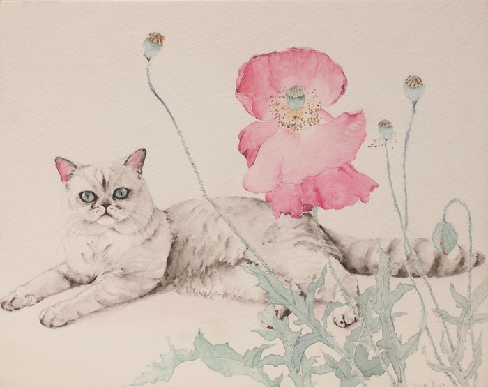 猫先生和植物