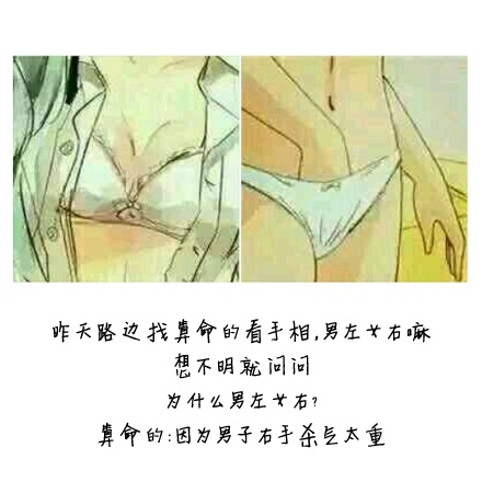 我要成为你的夜晚 也要成为你的早晨