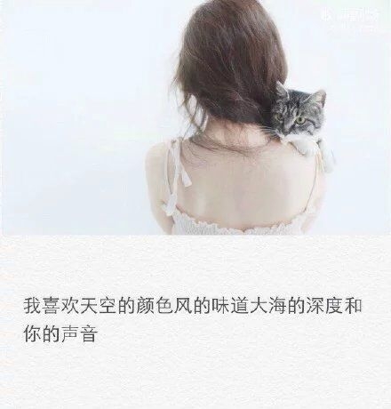 有太多要做的事没做 最后连一场认真地告别