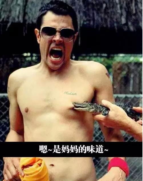 听说鳄鱼的咬合力很大的