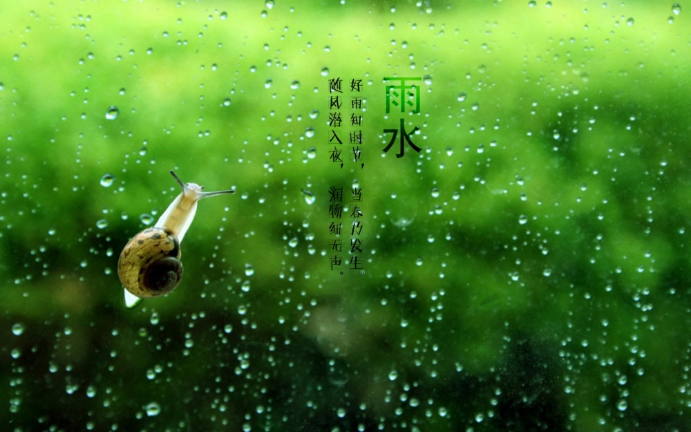 24节气雨水景色电脑桌面壁纸
