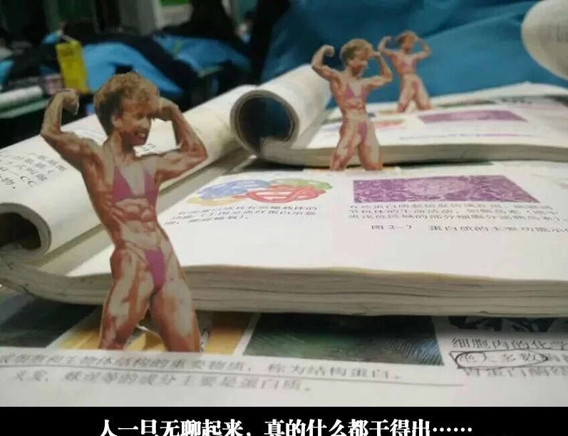boy，why are you 穿 bra？