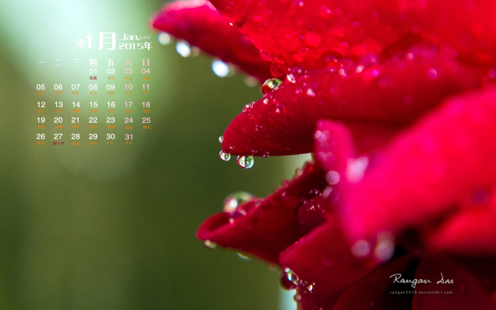 2015年1月日历唯美的自然景观雨滴和露珠高清电脑壁纸下载