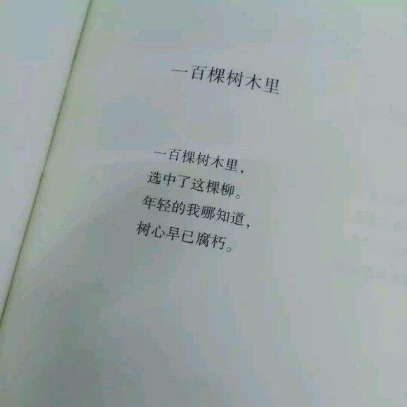 我还是很喜欢你.像零加上一始终如一