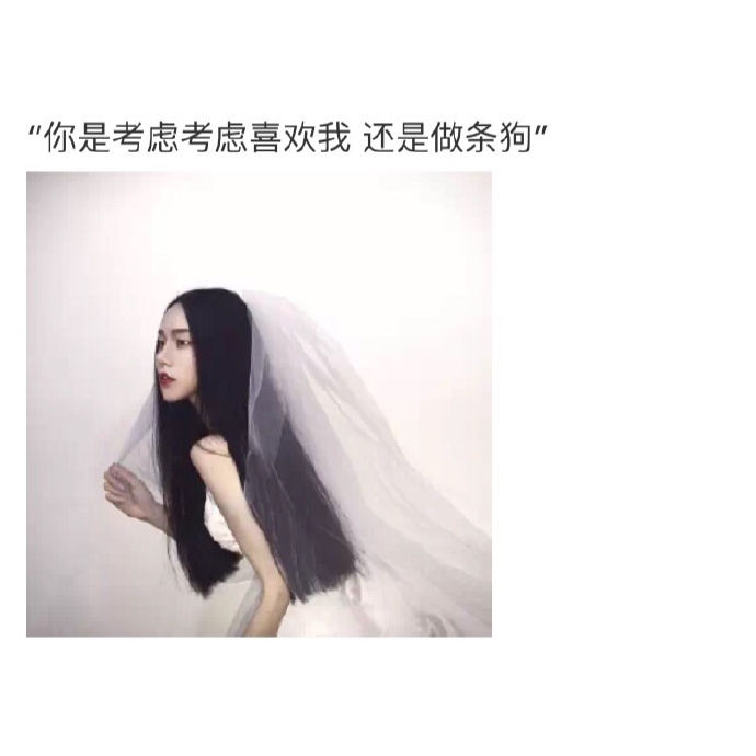 沐子：养一只我吧 保证很乖