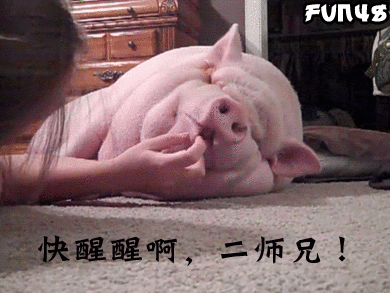 拨弄猪嘴唇：快醒醒啊！二师兄！