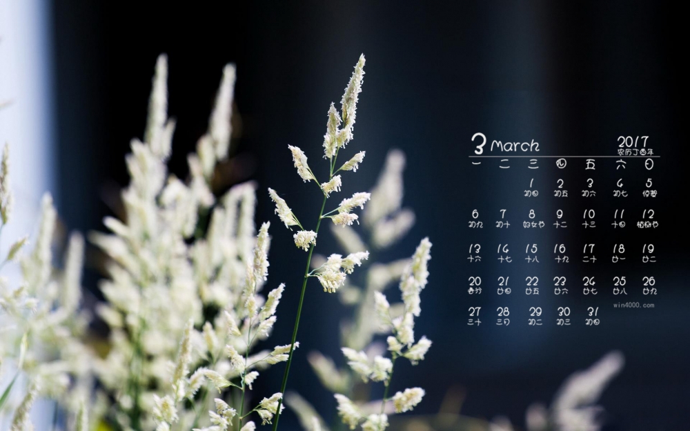 2017年3月唯美花卉高清桌面日历壁纸