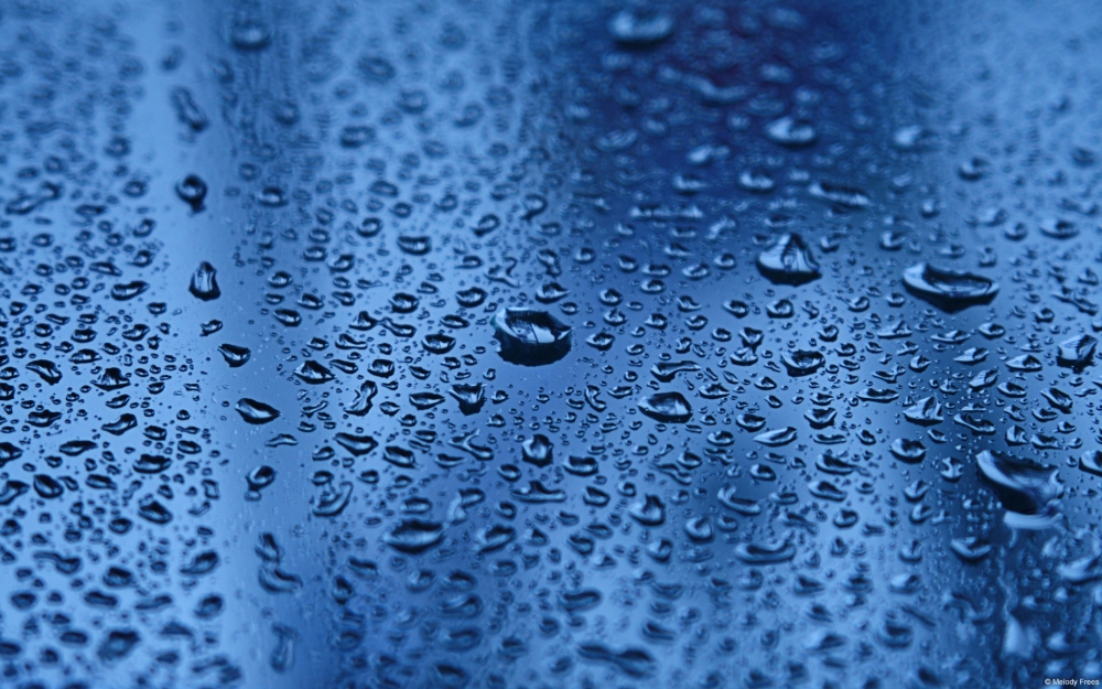 生命之源：水 高清壁纸