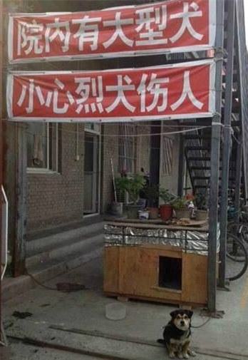 老子是吓大的嘛！？