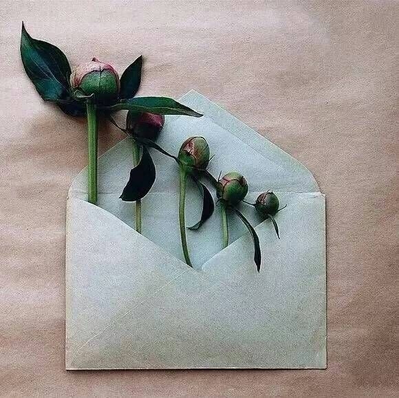 对回不去的时光说再见 
以后的