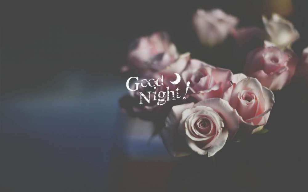 Goodnight晚安