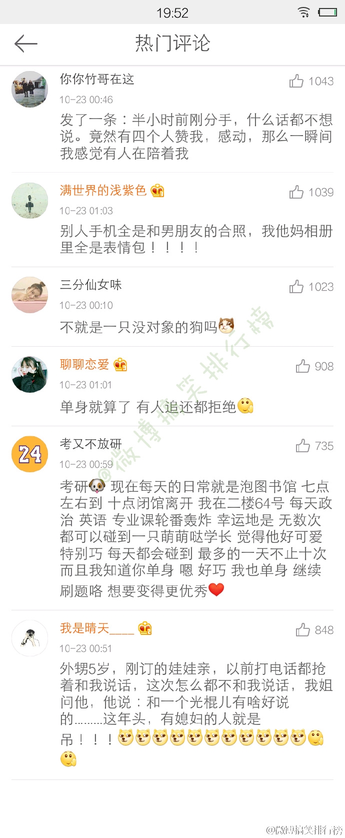 单身狗是怎样的一种生物