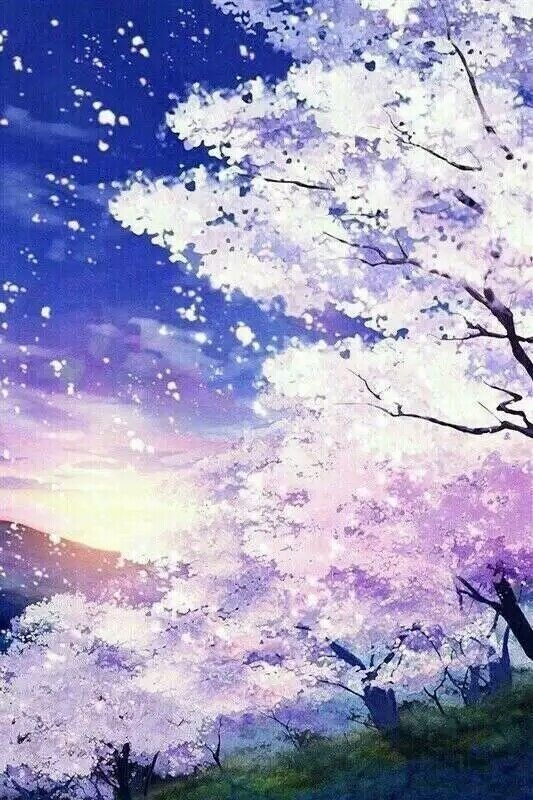 超级唯美~