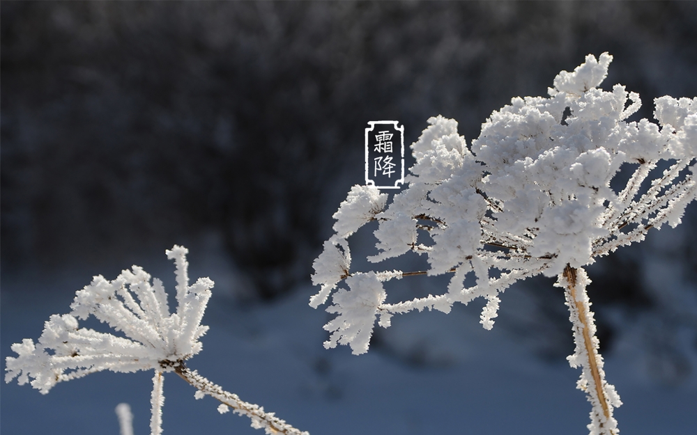 24节气霜降迷人风光
