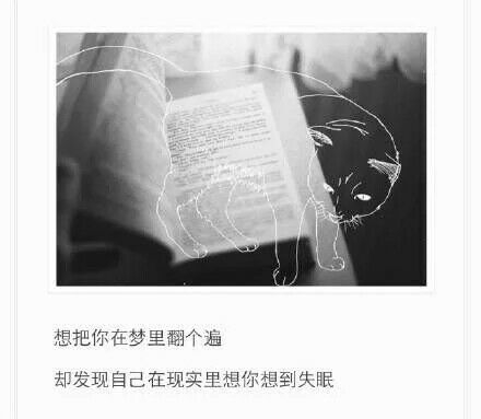 嘴里说着不想恋爱的人，心里大概都装着一个无法拥有的人