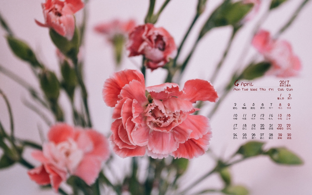 2017年4月唯美红色花卉植物高清图片日历壁纸