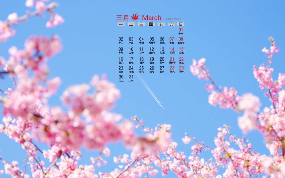 2015年3月日历壁纸蔚蓝天空下粉色的樱花唯美高清桌面风景图片下载