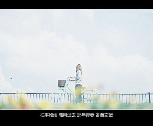 什么时候说起你我也可以笑得风轻云淡。