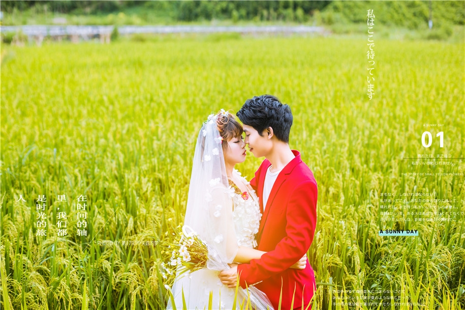 稻花香 婚纱照
