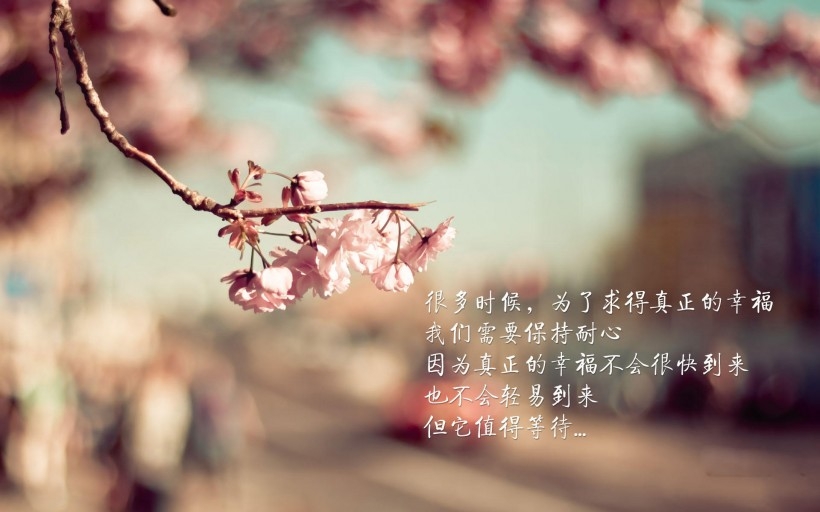 幸福文字桌面壁纸
