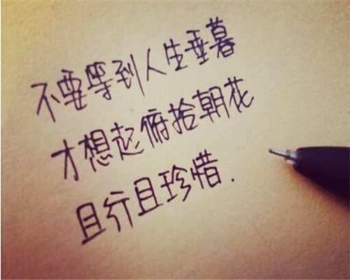 不要等到人生垂暮 才想起俯拾朝花 唯美手写文字图片