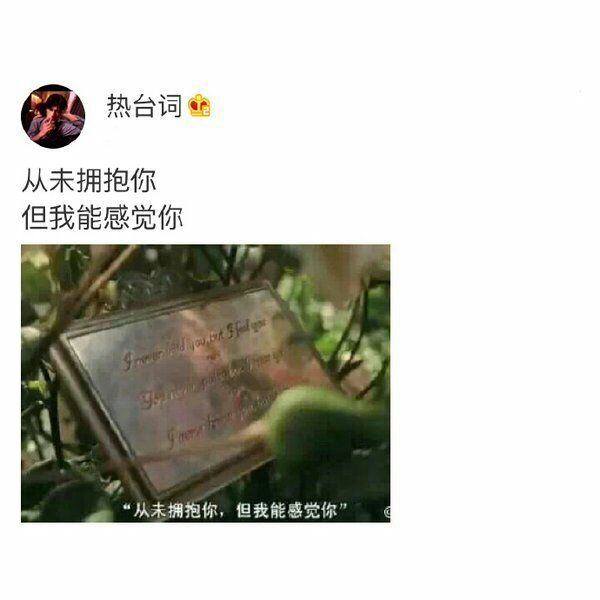 每个恋爱的人都是疯子.