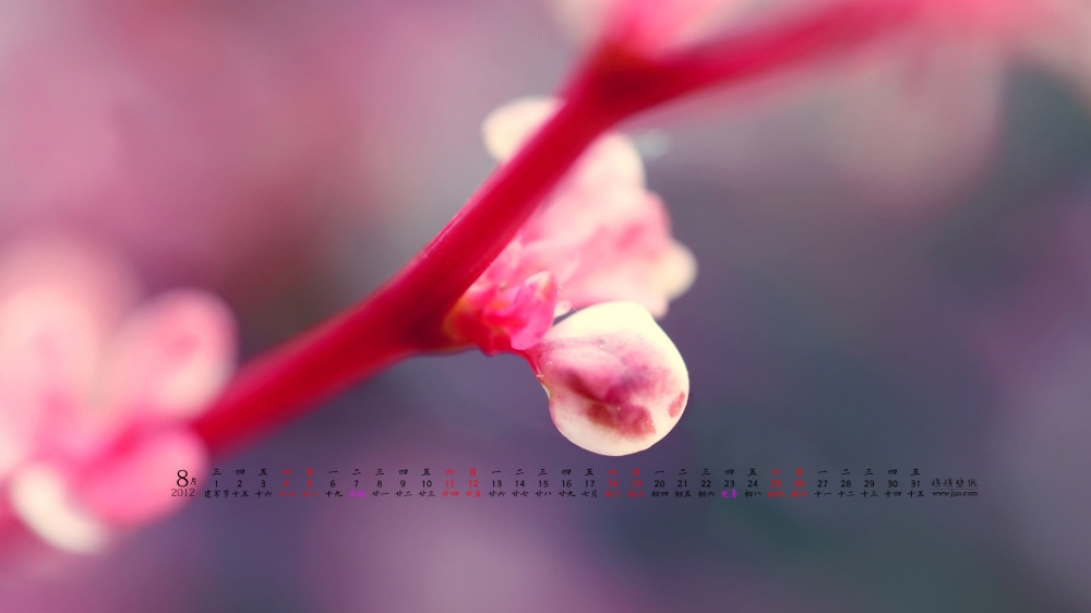 2012年8月日历桌面壁纸