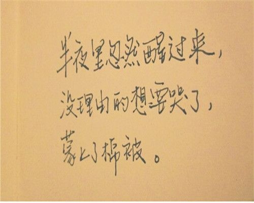 不要等到人生垂暮 才想起俯拾朝花 唯美手写文字图片